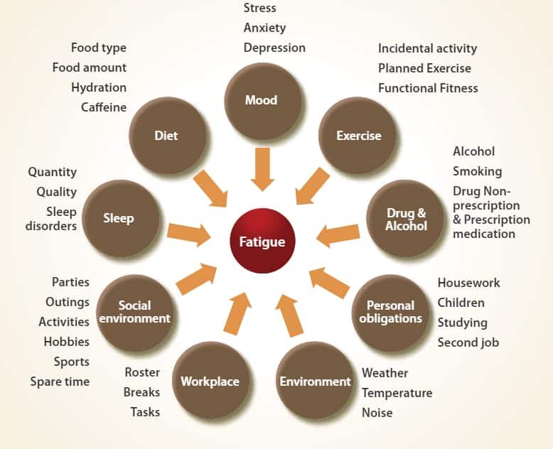 causes of fatigue essay