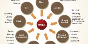 Causes-of-fatigue