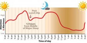 circadian-rhythm