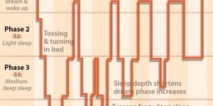 four-phases-of-sleep